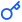 key-icon