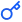 key-icon